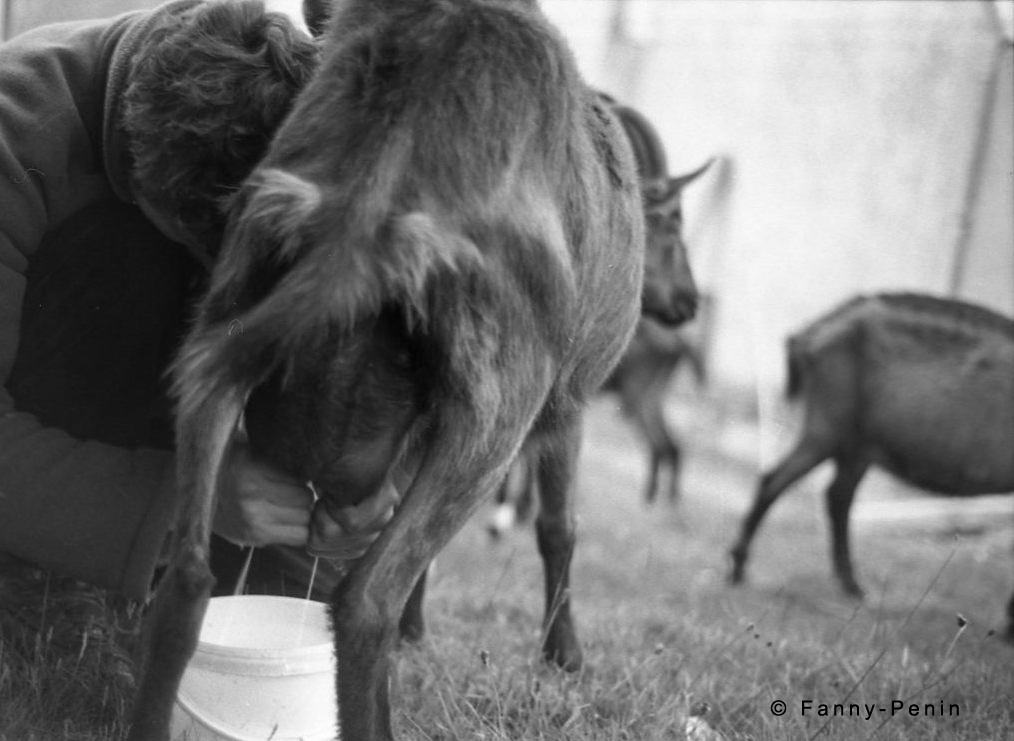 Nous avons donc vu le site renaitre.